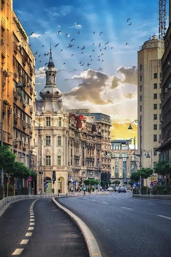 Imob Bibi House Calea Victoriei Διαμέρισμα Βουκουρέστι